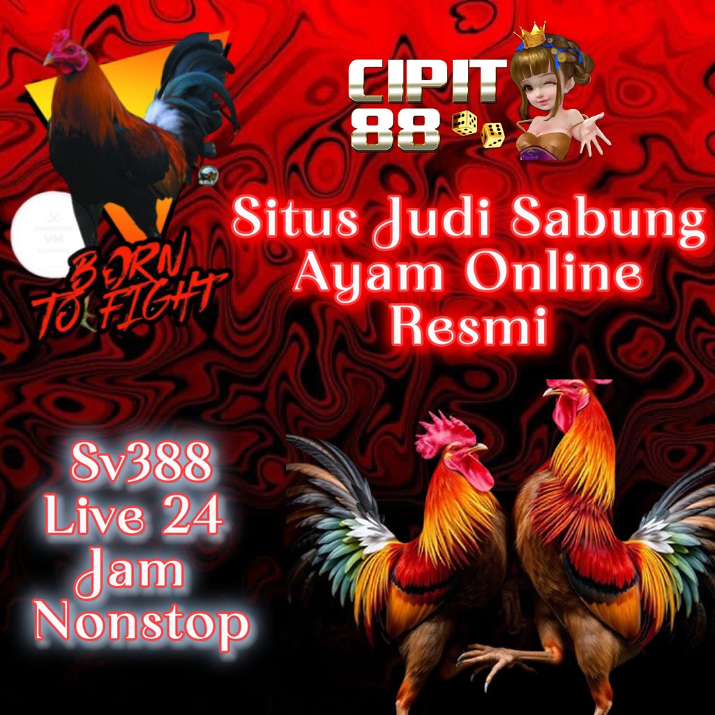 Sv388 : Situs Agen Judi Sabung Ayam Online Resmi 24 Jam Hari Ini # Cipit88